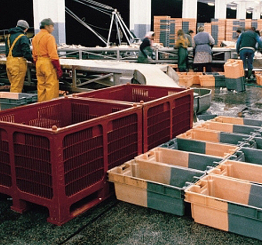 Euro Stacking and Nesting Containers